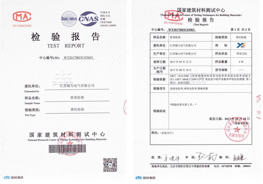 管束膠墊--檢驗(yàn)報告 